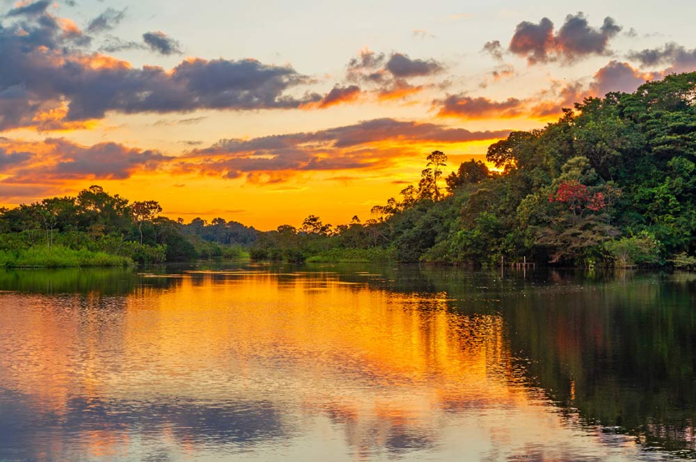 Derechos de la Naturaleza